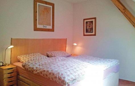 Mlyn Apartment