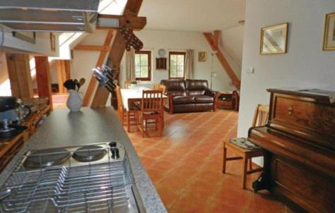 Mlyn Apartment