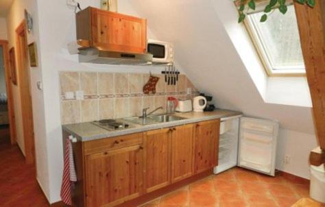 Apartment Mlyn *
