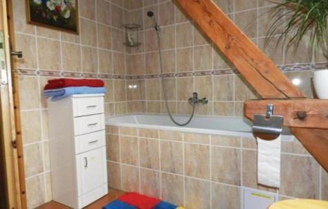 Apartment Mlyn